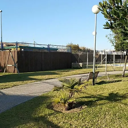 Estrella *